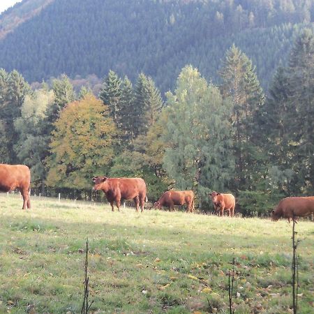 Апартаменты Urlaub Auf Dem Bauernhof Netphen Экстерьер фото